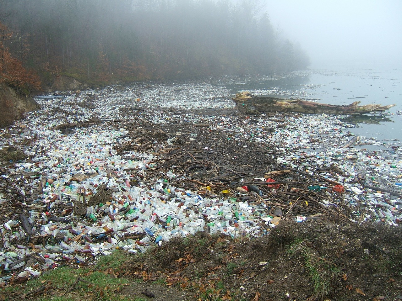 umweltverschmutzung durch plastikmuell vermeidung recycling